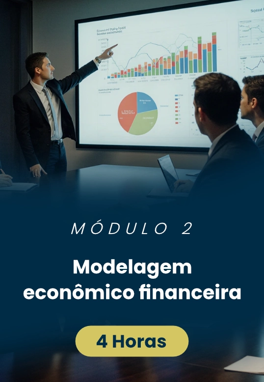modelagem economico financeira