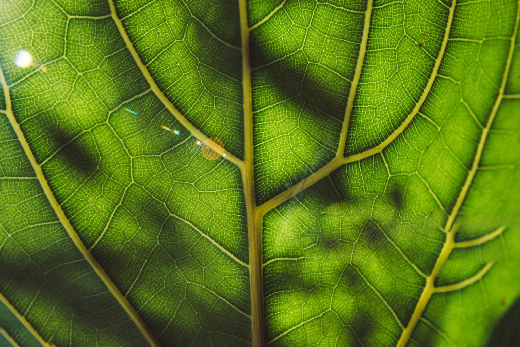 Sustentabilidade e ESG